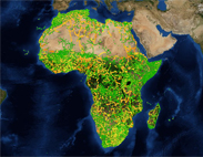 Africa Road Map - Yellows & Greens