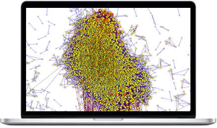 Network Graph