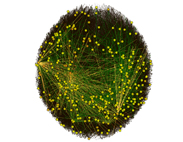 Network Graph -  Peer to Peer File Sharing Network Zoomed Out - Yellow