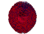 Network Graph -  Peer to Peer File Sharing Network Zoomed In - Reds & Blacks
