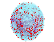 Network Graph -  Peer to Peer File Sharing Network Zoomed Out - Blue & Red
