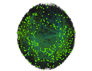 Network Graph -  Peer to Peer File Sharing Network Zoomed Out - Green