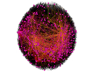 Network Graph -  Peer to Peer File Sharing Network Zoomed Out - Pink
